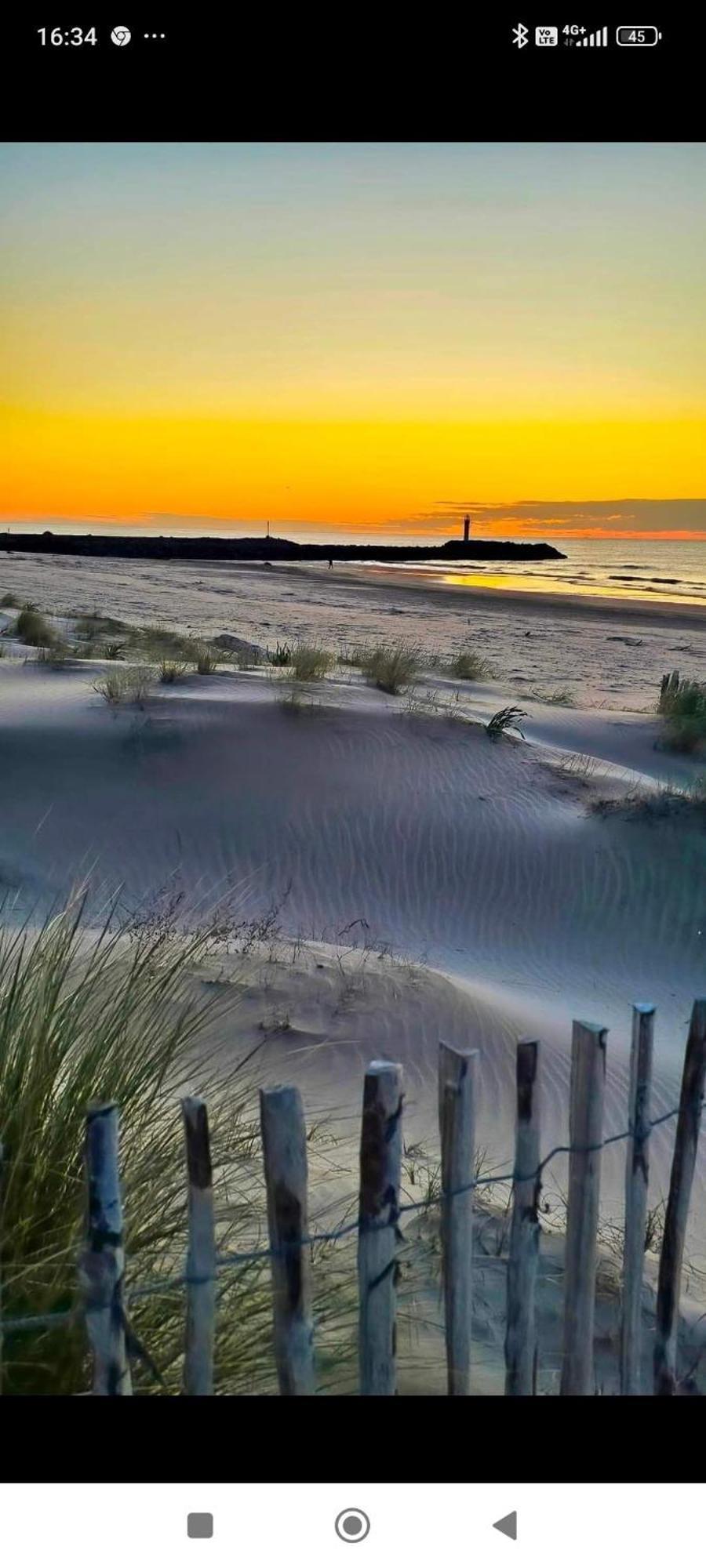 Studio Au Cap D'Agde Dans Les Pinedes Exterior foto